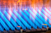 Engedi gas fired boilers